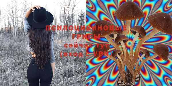 альфа пвп Архангельск